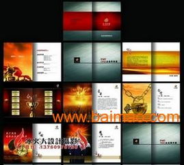 VIS品牌策劃與設(shè)計(jì)服務(wù) 從標(biāo)志到畫冊(cè)、包裝的全面解決方案